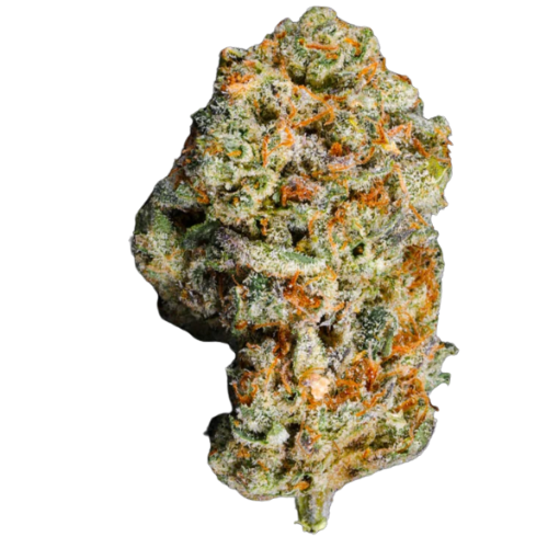 Cinderella OG (NEW DROP)