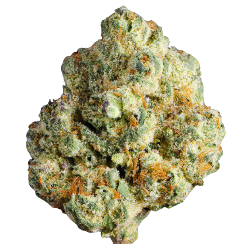 Bruce Banner (NEW DROP)