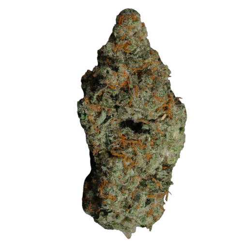 Candyland (NEW DROP)