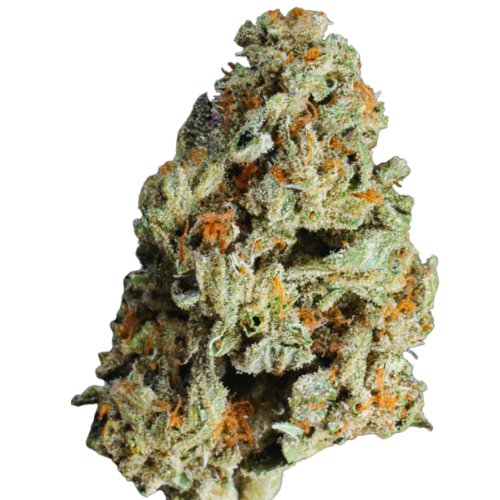 ChemDawg (BEST SELLER)