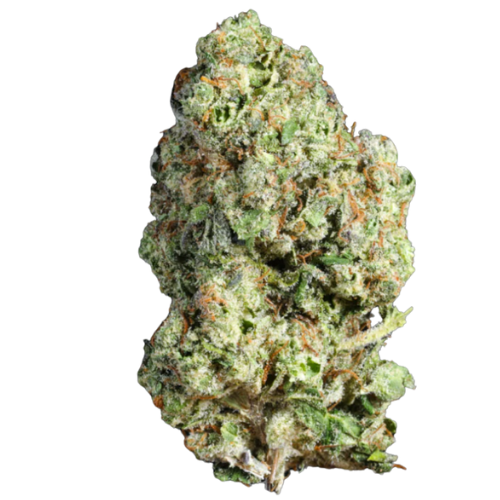 Godfather OG (SOLD OUT)