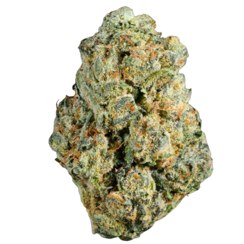 Jack Herer